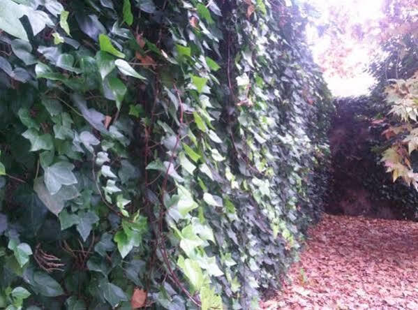Hostal Ramon Y Cajal Valladolid Luaran gambar
